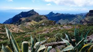 Noémy SMECICAS - SMECICAS NOEMY